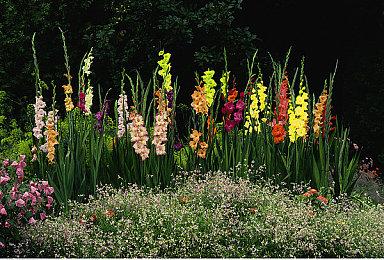 百人对战FPS《BattleBit Remastered》6月steam抢测